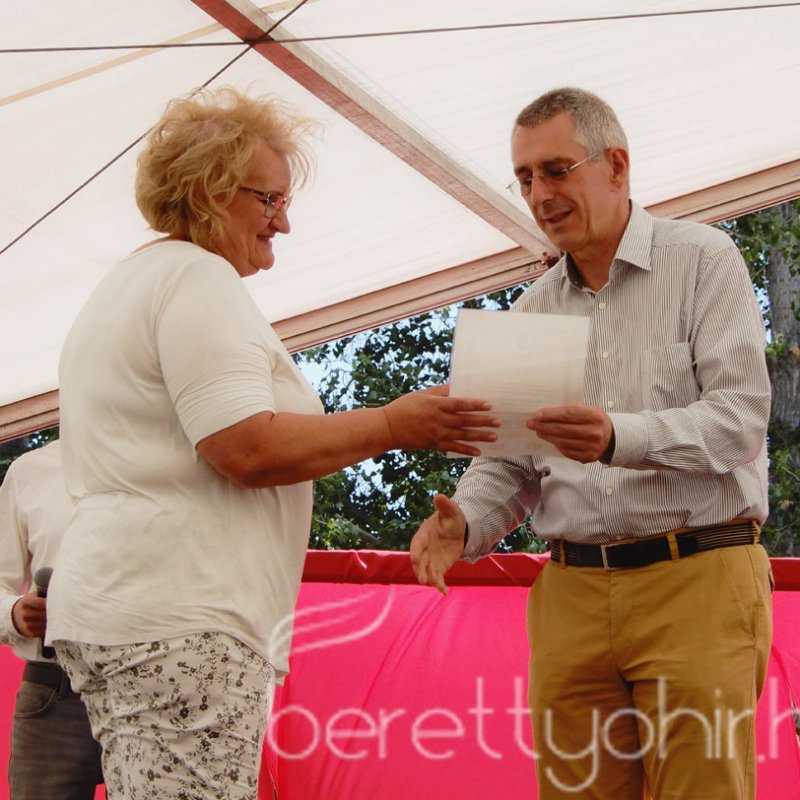 Semmelweis napi party 70